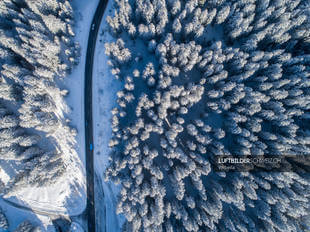 Drohne Wald mit Strasse Luftbild