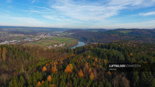 Luftaufnahme Fluss Rhein Luftbild