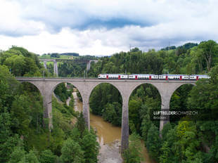 Luftaufnahme einfahrender Zug auf Viadukt Luftbild