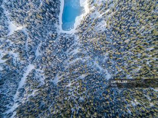 Luftbild Wald im Winter beim Caumasee