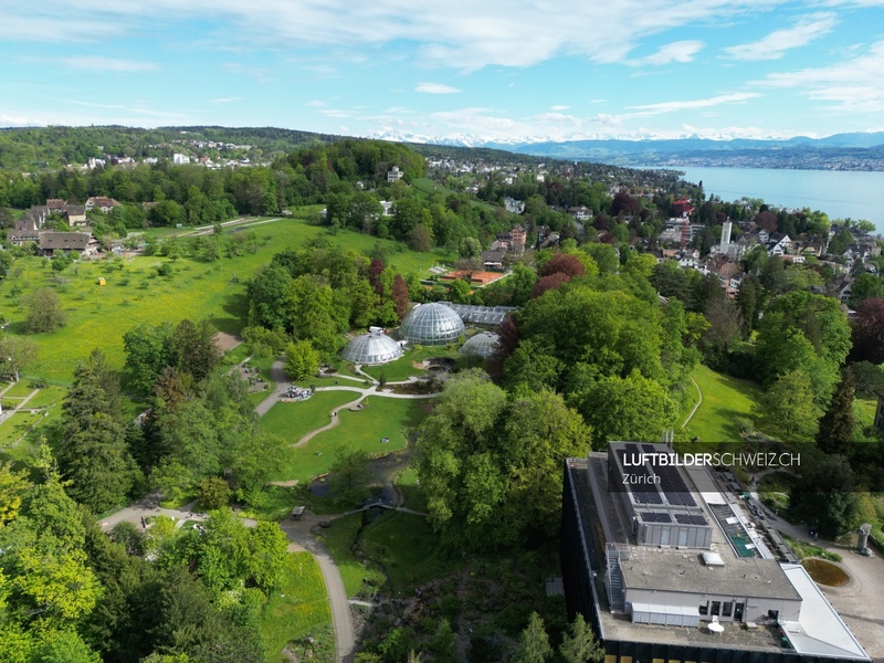 Botanischer Garten Zürich Luftaufnahme Luftbild