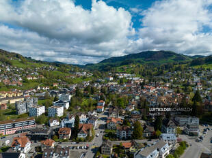 Drohnenfoto Wald ZH Luftbild