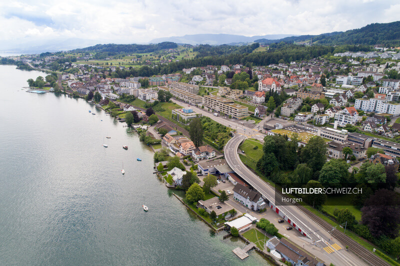 Horgen Luftaufnahme Luftbild