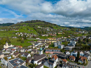 Luftaufnahme Wald ZH Luftbild