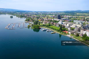 Luftaufnahme Zugersee Bootshafen Zug Luftbild