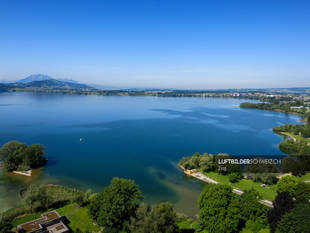 Luftaufnahme Zugersee Luftbild