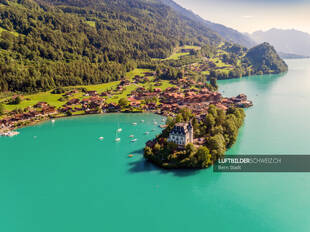 Luftbild Iseltwald am Brienzersee