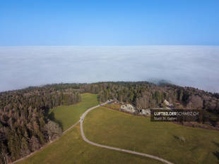 Peter und Paul St. Gallen im Nebel Luftbild