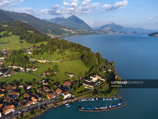 Luftbild Thunersee Därlingen