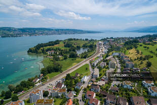 Luftbild Wädenswil und Zürichsee