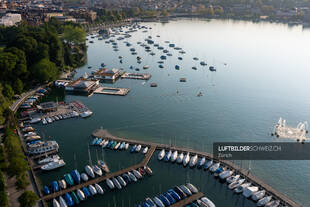 Luftbild Zürichsee mit Bootsanleger
