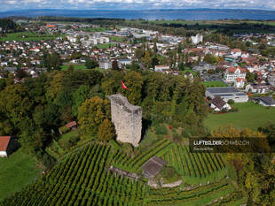 Luftaufnahme Ruine Alt-Rheineck Luftbild