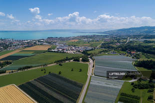 Roggwil TG Landwirtschaft Luftbild