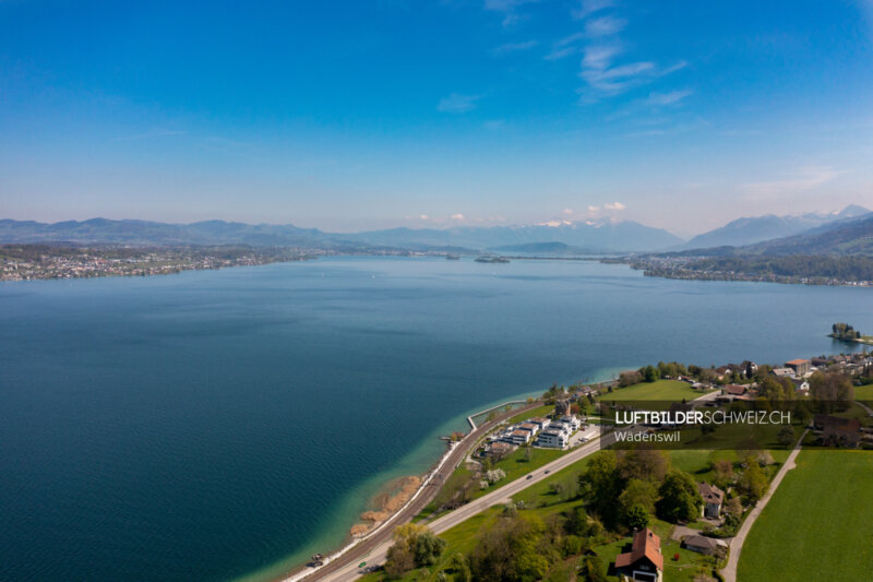 Wädenswil Zürichsee Luftbild